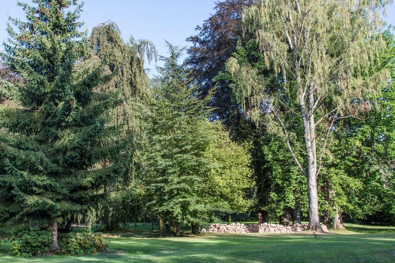 Chambres D'Hotes Domaine Des Iris Anould Eksteriør billede